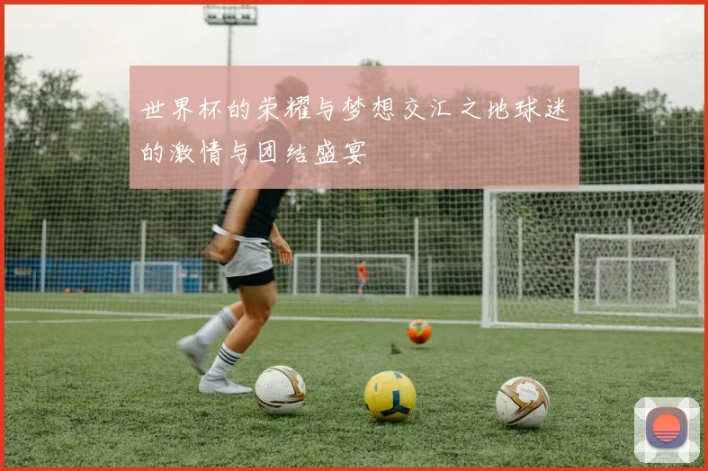 世界杯的荣耀与梦想交汇之地球迷的激情与团结盛宴